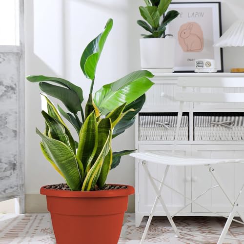 IMAGINEA 18 Inch Plastic Planters Big Size Outdoor Gardening Plant Container for Garden Terrace Balcony Patio Nursery Indoor Large Flower Pots for Home Office Decor (Pack of 2, Red)