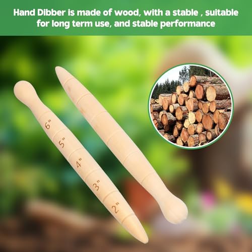 Herramienta de jardinería Wooden Seed Dibber 20 cm miniatura 6