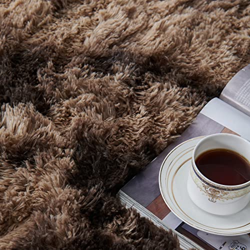 Tabayon Shaggy Tie-Dyed Coffee Rug, 2X3 Area Rugs For Living Room, Anti-Skid Extra Comfy Fluffy Floor Carpet For Indoor Home Decorative #TOP3