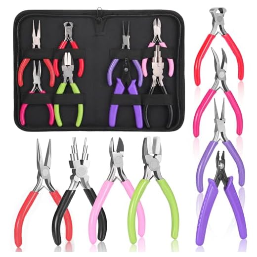 8 Pcs Jewelry Making Pliers Tool Kit, Needle Nose Pliers, Round Nose Pliers, Wire Cutters, Crimping Pliers, Bent Nose Pliers, End Nippers, Bail Making Pliers, Nylon Pliers for DIY (Multicolor)