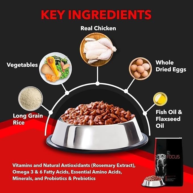 Image of Focus Adult Dog Food 6 Kg Pack of 2, 3Kg Each | Premium High-Protein Formula with Real Chicken & Omega-3 & 6 | Supports Muscle Growth, Strong Bones, Immunity & Digestion