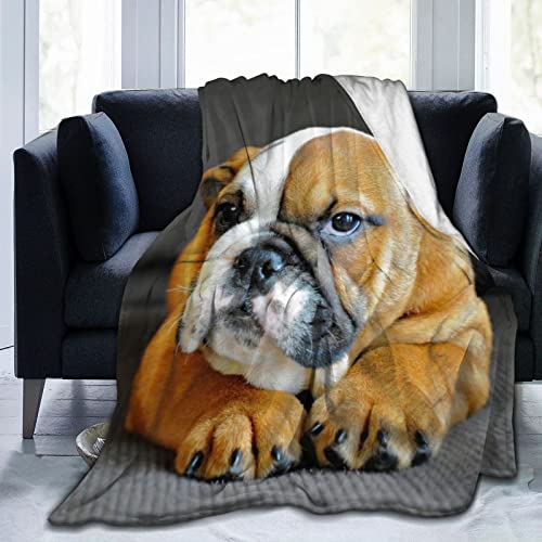 Ultra-Soft Fleece Bed Blanket Fuzzy Flannel Throw Blanket Unique English Bulldog Puppy Dog Warm And Cozy Sofa Blankets For Bedroom Livingroom Chair, All-Season Gift 50"X60" #TOP1