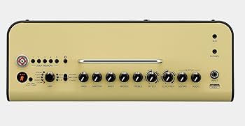 Amazon.co.jp: YAMAHA / THR30II Wireless + LINE6 Relay G10TII