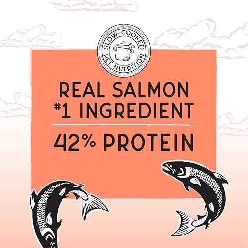 Image of Blackwood Bounty Dry Cat Food, Salmon & Rainbow Trout Recipe for All Life Stages, 10 Pound Bag, High Protein, Grain Free