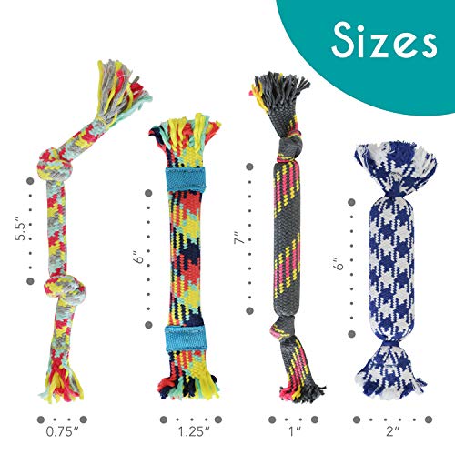 rocket & rex 4-Pack Dog Rope Toys | Small Breeds and Puppies | Puppy Rope Toy and Rope Toys for Small Dogs | Rope Toy Set with Rubber and Crackle for Added Chewing Fun | Dog Stocking Stuffer rocket & rex 4-Pack Dog Rope Toys | Small Breeds and Puppies | Puppy Rope Toy and Rope Toys for Small Dogs | Rope Toy Set with Rubber and Crackle for Added Chewing Fun | Dog Stocking Stuffer
