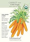 Little Finger Baby Carrot Seeds-1 g-Certifield Organic