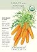 Little Finger Baby Carrot Seeds-1 g-Certifield Organic