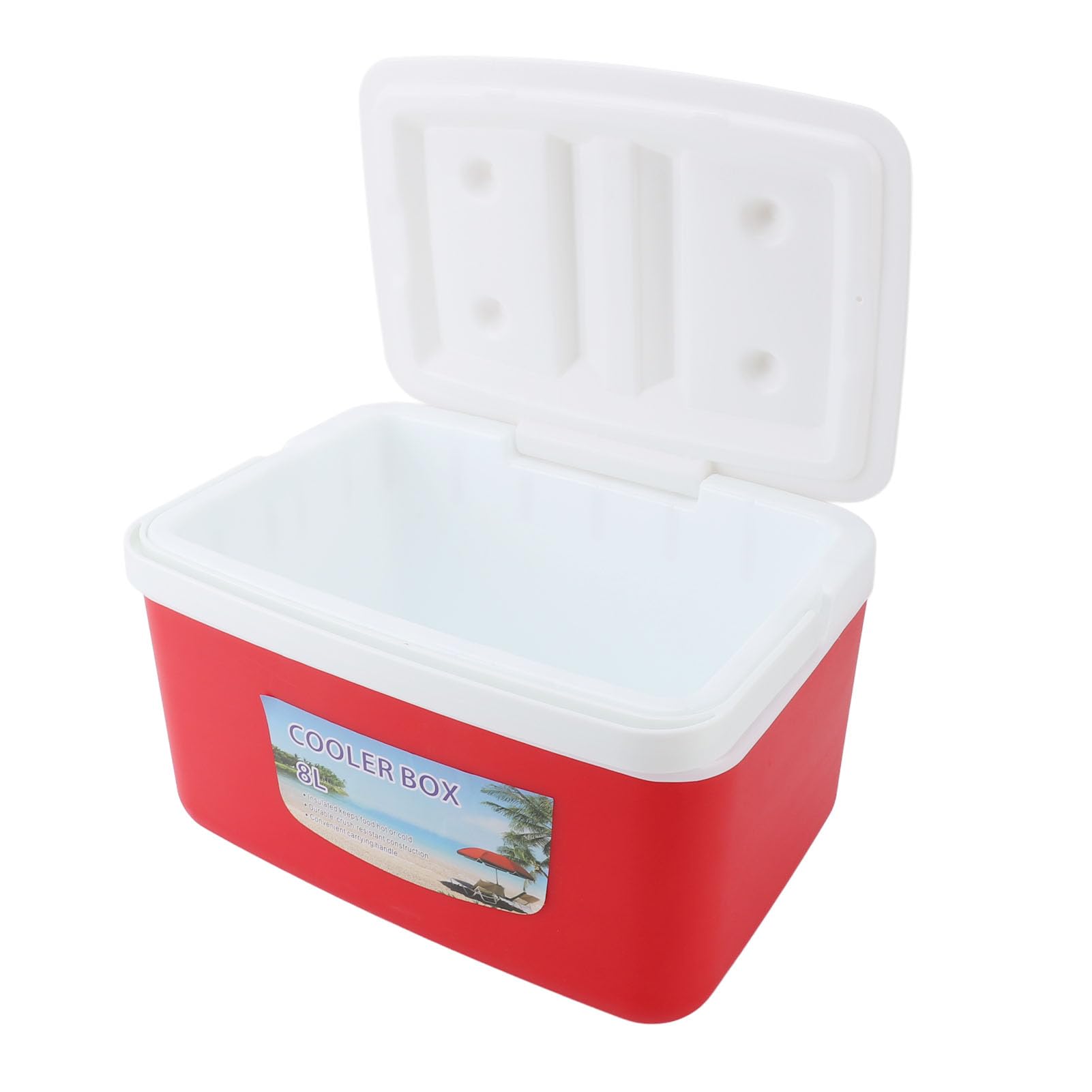 Denash Glacière Isolée Portative Efficace de 8L pour la Boisson de Plage de Pique-Nique de Camping, Matière Plastique Inodore