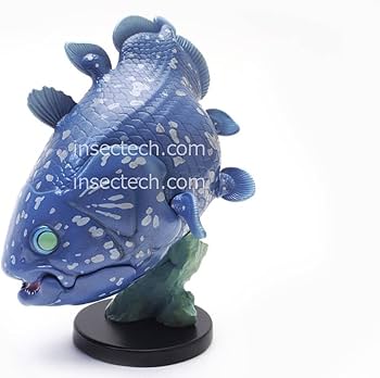 Amazon.co.jp: 動物の惑星 WF2024夏限定 アフリカシーラカンス