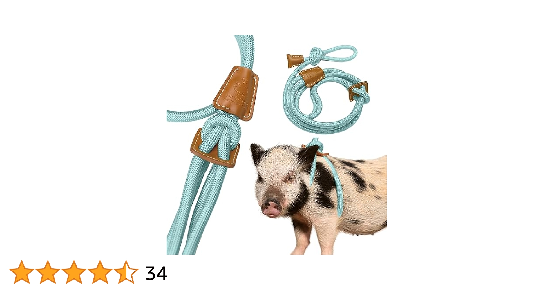 51JBtV9dOlL.jpg_BO30,255,255,