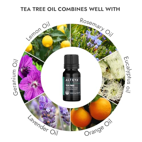 Olio dell'albero del tè biologico Alteya