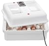 Incubadora digital de aire circulado Little Giant® con volteador automático | Capacidad para 41 huevos | Incubadora para eclosionar huevos de pollo con ventilador y volteador de huevos | Hecha en EE. UU. 5