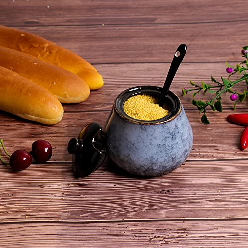 Antique Ceramic Sugar Bowl Salt Bowl With Lid And Spoon 8Oz Seasoning (Grey Blue) Seasoning Can #TOP5