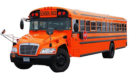 Vinilo Decorativo Realista VWAQ School Bus 22x42 pulgadas