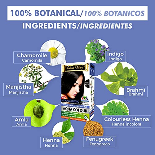 Image of INDUS VALLEY Hypo Allergic Aqua Colour 100% botanical hair Colour Indus Black-(30ml + 200g)