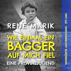 Wie einmal ein Bagger auf mich fiel Titelbild