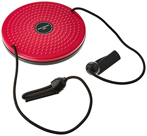 KOLE IMPORTS Fitness Twister with Handles