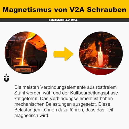 Zuyya 20 Stück M5 x 16 mm Senkschrauben Torxantrieb Edelstahl A2 Schrauben Vollgewinde mit Torx Schlüssel