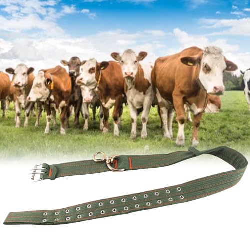Kuhhalsband, Verstellbares 4-lagiges Canvas Kalbskragen Krawatte Rinderhalsband Halsband mit 2 Reihen Metallschnalle für Pferdeschaf Rinder(#2)