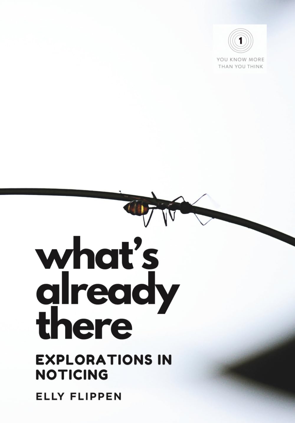 What's Already There: Explorations in Noticing (You Know More Than You Think)