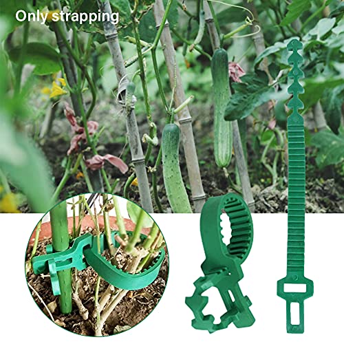 Gezichta 10 Pcs Tree Stake Support Bands, Heavy Duty Adjustable Interlock Tree Plant Ties, Reusable Garden Plants Shrub Ties 9.4 Inch(Green), Free Size #TOP4