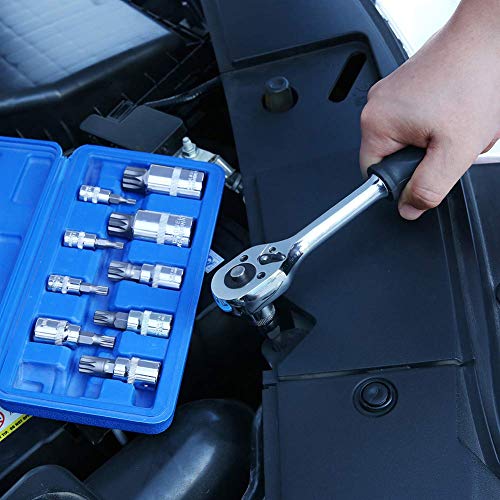 Renekton Triple Square Spline Bit Socket Set XZN,Tamper Proof,1/2" 3/8" 1/4" Drive,M4 - M18,S2 Steel,10 Pieces - Thumbnail 6