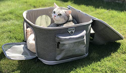 Pet Carrier for Large Cats and Small Dog, Fits up to 20 pounds Fat Cat Car Seat Carrier, Collapsible Soft Side Carrier Airline Approved Under Seat - Thumbnail 4