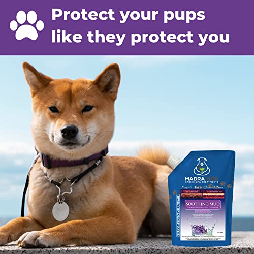 Image of Worldwide Nutrition Bundle: Madra Mor Soothing Mud - Dog Essentials Mud Bath, Dog Grooming, Dry Skin for Dogs Treatment, Dog Coat Skin Care Products - 10oz Pouch & Multi-Purpose Key Chain