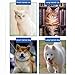 Lifweb Mataway E-Comb, Glosrity Mataway E-Combs 2-In-1 Electric Pet Grooming Comb For Dogs & Cats - Knot Remover, De-Shedding & Trimmer (2 pcs)
