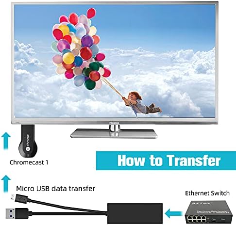 USB Ethernet LAN Adapter, HOTSO Micro USB to RJ45 Converter Computer Network Adaptor with OTG Cable for Fire TV Stick 4K Google Home Mini and More Streaming TV Sticks