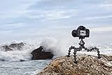 Joby Gorilla Pod Focus + Ball Head-X for Professional DSLR and Mirrorless Cameras and Lights
