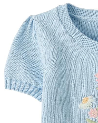 Image of Gymboree Girls' and Toddler Short Sleeve Pullover Sweater