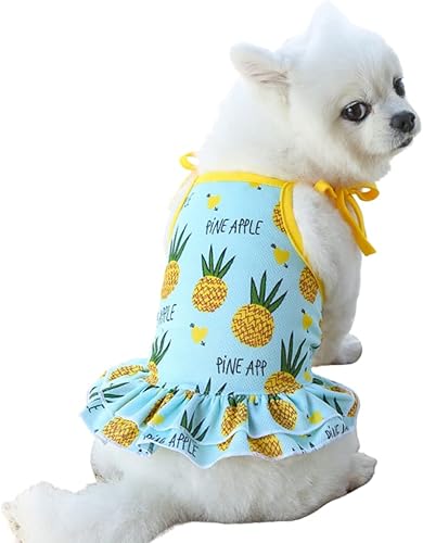 Harikaji Pet Clothes,Lovely Summer Fruit Dog T-Shirt Puppy Clothes Dog Skirt Dress Cats Clothes for Small Dogs Cats Puppy (L-Back Length 35cm, Pineapple Skirt)
