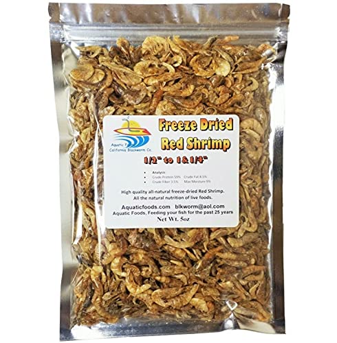5oz. Freeze Dried Red Shrimp 1/2" to 1&1/4" 100% Red Shrimp for Tropical Fish, Marine Fish, Large Cichlids, Koi, Land & Aquatic Turtles, Aquatic Foods Premium Freeze Dried Tropical Fish Foods. 5oz Bag