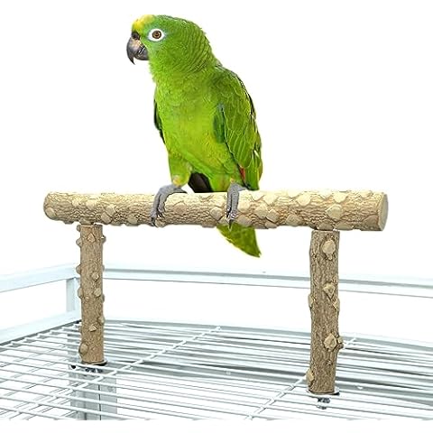 Bird Perch Stand, Bird Cage Top Perch Gym,Natural Wood Parrot Branch for Small Medium Large Parrot (M) Cover