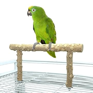 bird cage top playgym attachment