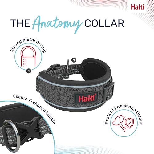 Image of Halti Anatomy Dog Collar | Size M, Grey | Wide Design Collar for Pressure Relief | Padded, Reflective & Adjustable | Matching Leash & Harness | For Medium Dogs