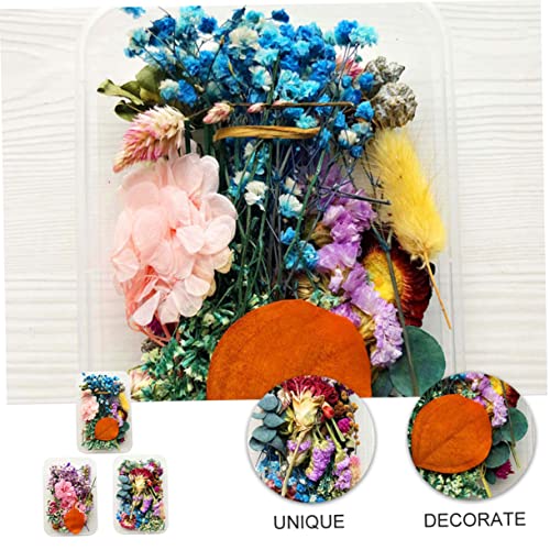 WOFASHPURET 3 Caixas flores secas artesanais flores secas de estilo misto apliques enfeites decoraçã
