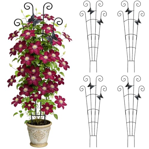 4 Pack 30'' Large Metal Plant Trellis for Climbing Plants ﻿ ﻿ ﻿ ﻿