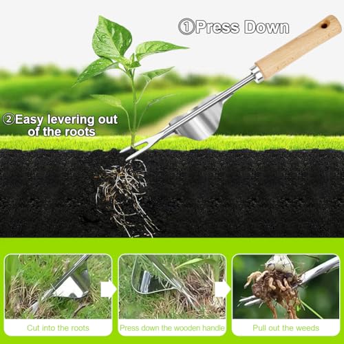 Adiwo 3 Piezas Desherbador Manual, Herramientas de Deshierbe, Acero Inoxidable, Kit Jardinería, Desherbador de Raíces, Mango de Madera, Mango Ergonómico, para Excavar Deshierbar Trasplantar - imagen 4