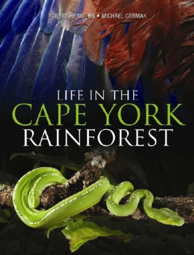 Life in the Cape York Rainforest