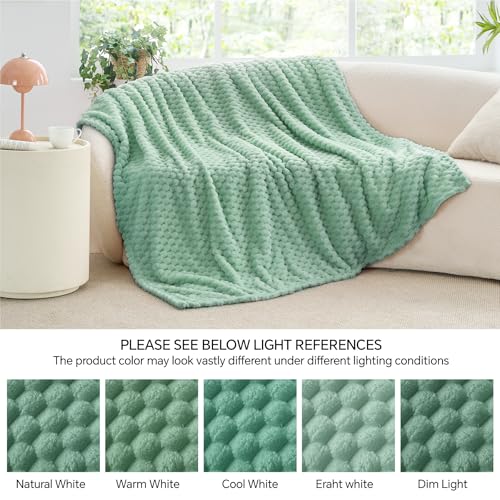 Image of BEDELITE Mint Green Twin Blanket for Couch, Soft Cozy Gift for Women, 60*80