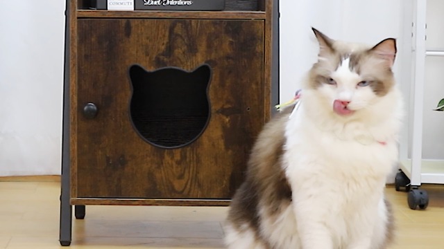 ⑯♥サイドテーブル★キャットハウス★小屋★無垢★ネコ★手作り ペットハウス 猫ベッド キャットハウス サイドテーブル 木製