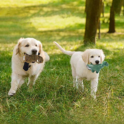 LEGEND SANDY Squeaky Plush Dog Toy Pack for Puppy, Small Stuffed Puppy Chew Toys 6 Dog Toys Bulk with Squeakers, Cute… - Image 6