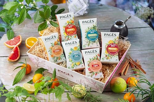 Pagès - Thé Vert BIO Minceur - Maté, Gingembre, Saveur Orange - Boîte de 20 Sachets, 100% Végétal – vue 3