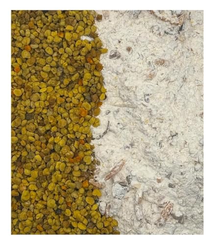 Alimento para caracoles con polen de flores, forraje de caracoles, mezcla de caracol y cal con sustancias naturales para la construcción de las conchas de caracol (150 g)