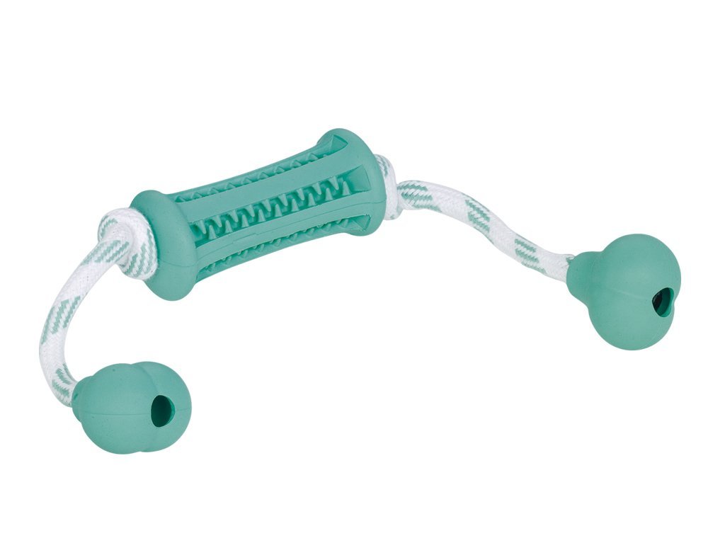 Nobby Solid Rubber Dental Fun Stick with Rope, 37 x 9 cm, Turquoise/White