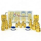 LE LEMATEC 15-PC Air Compressor Hose Fitting Kit - 1/4