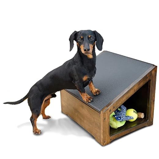 DoggoRamps Step-Ramp for Dogs - Solid Hardwood with 3 Finish Options - Combination Ramp & Step with Storage Cubby to Save Space, for Dogs Who Could Use a Helping Step Up - Made in North America