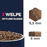 Eukanuba Welpenfutter mit frischem Huhn für mittelgroße Rassen, Premium Trockenfutter für Junior Hunde, 3 kg